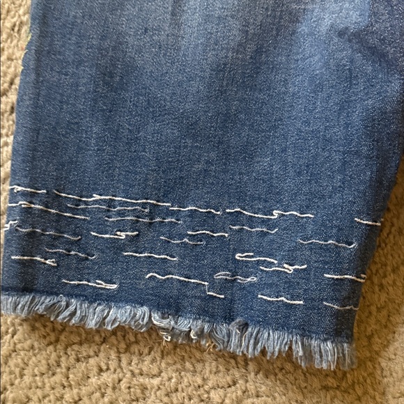 DRIFTWOOD Blue Embroidered Heron & Sunset Jean Shorts Sz 28 - Picture 8 of 10